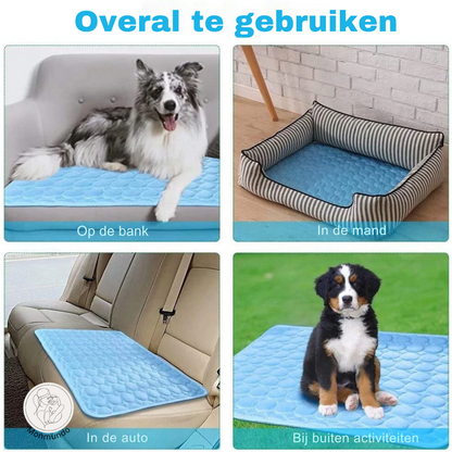 CoolMate™ | De nummer 1 Koelmat voor Huisdieren