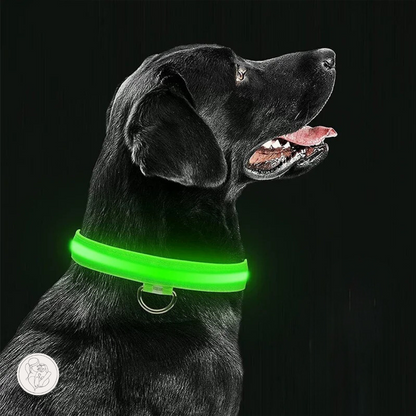 GlowBand - LED halsband