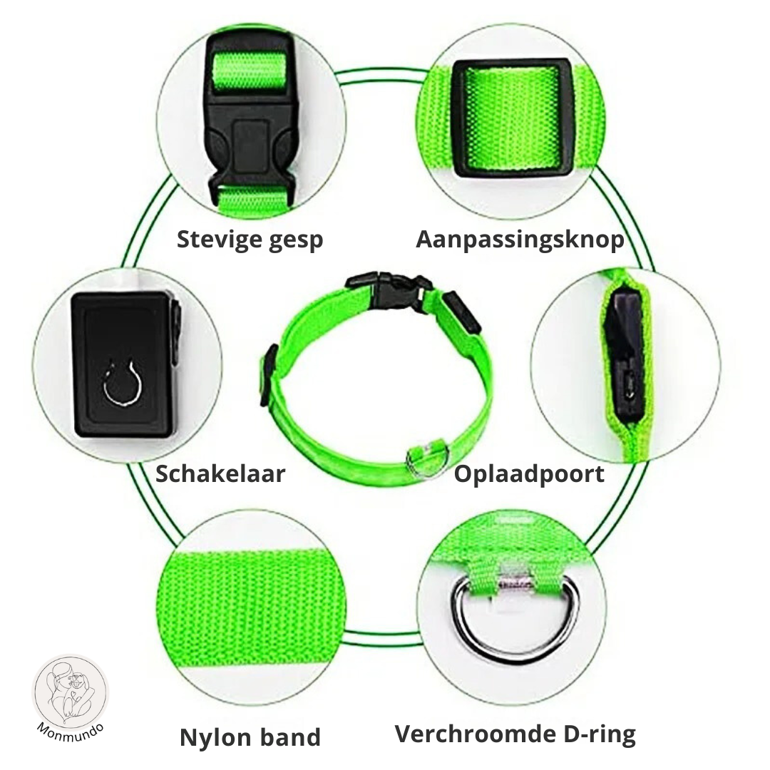 GlowBand - LED halsband