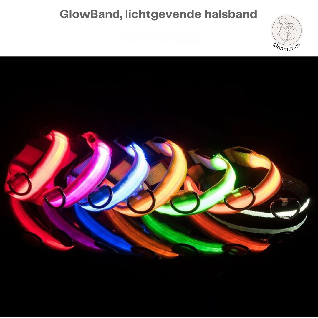 GlowBand - LED halsband