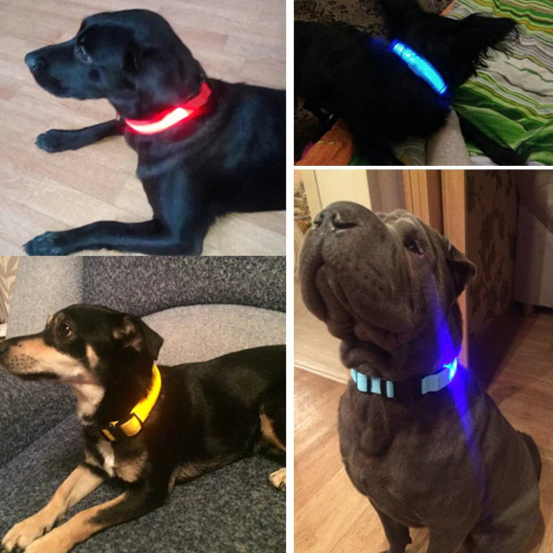 GlowBand - LED halsband