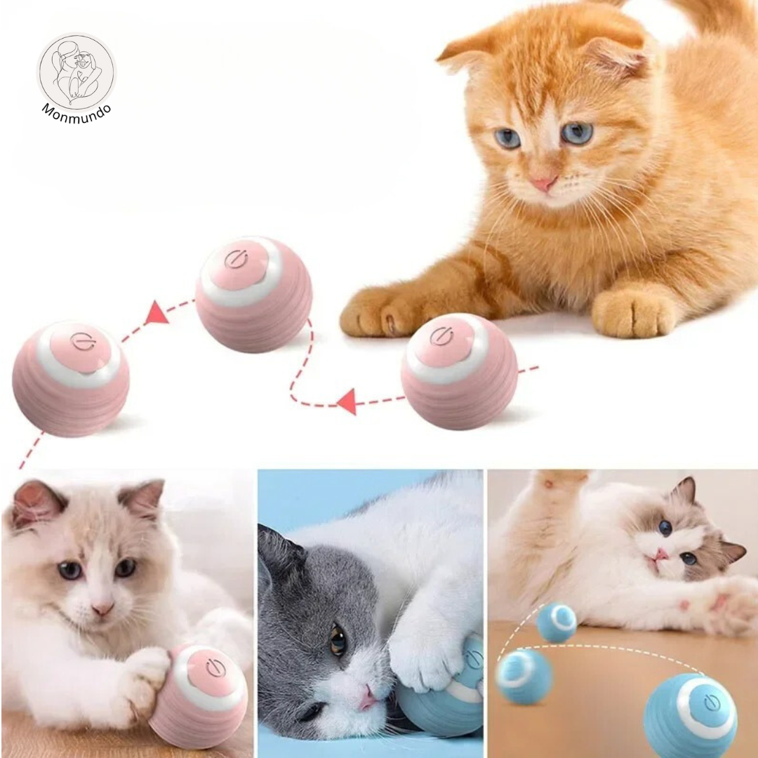 Spinny - Het favoriete speeltje van je kat!